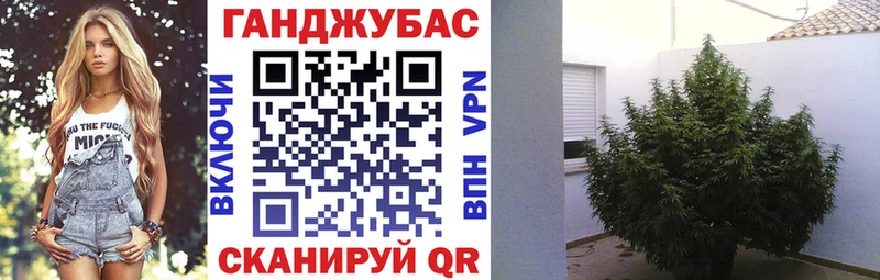 Шишки марихуана VHQ  Тбилисская 